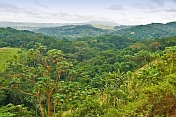 Looking over a vista of the densely forest jungles of the Congo.