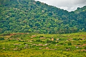 A village of wooden huts occupies cleared rain forest land below tree-covered hills.