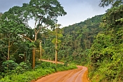 Click here to visit the Congo Travel Photo Gallery