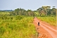 Image of Man walks along a dusty dirt road through open grassland savannah with shopping bags.