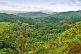 Image of Looking over a vista of the densely forest jungles of the Congo.