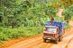Image of A heavy truck with roof riders drives along a rough and muddy jungle road.