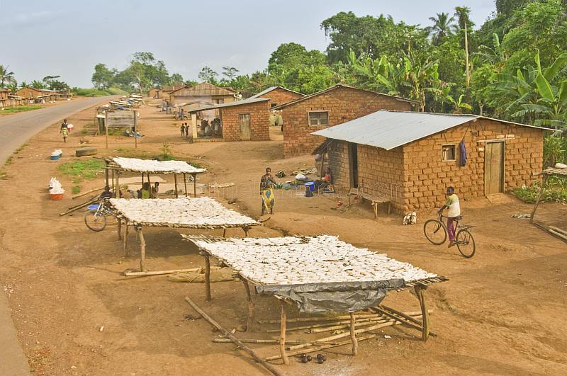 Mud-brick houses with stalls along the main road selling dried manioc and cassava root (Manihot esculenta).