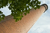 Brick industrial mill chimney with sycamore tree.