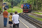 Father and 2 sons photograph approaching steam train at Kirklees Light Railway at Clayton West.