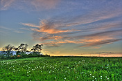 caption: Sunset at the Horse and Garden Organic Farm