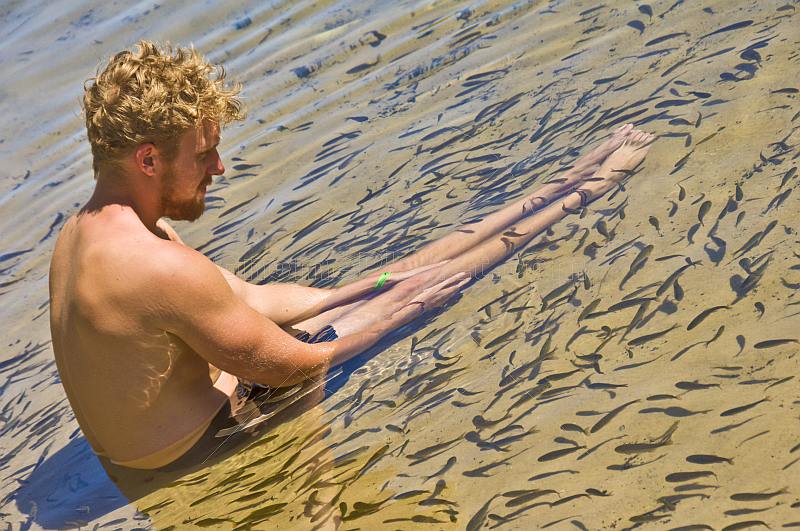 Blonde man with Fishes