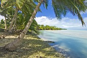 caption: Idyllic Pacific Island with Beach and Palm Trees